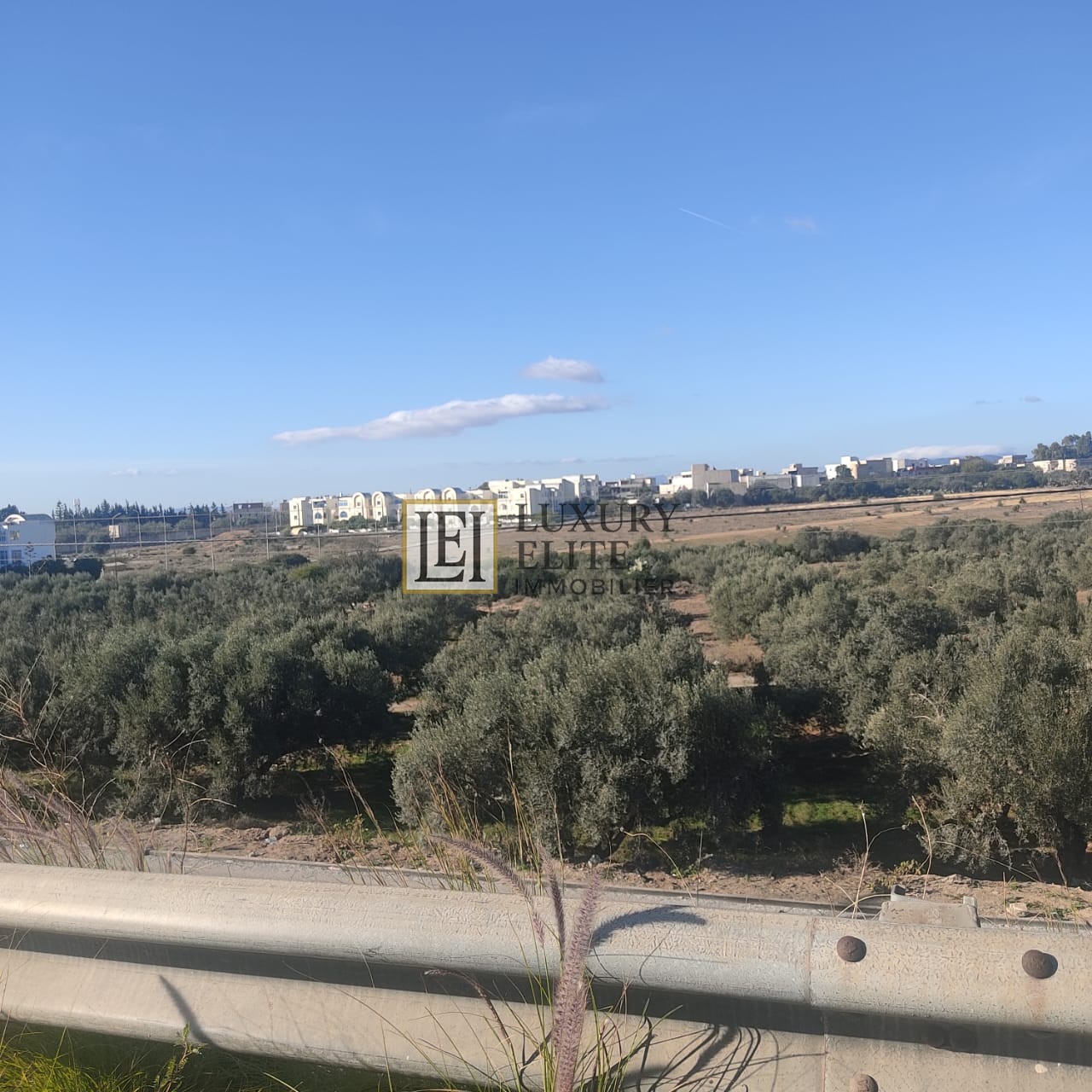 Hammamet&nbsp;Barraket Essahel&nbsp;Terrain&nbsp;Terrain nu&nbsp;Terrain pour promoteur immobilier