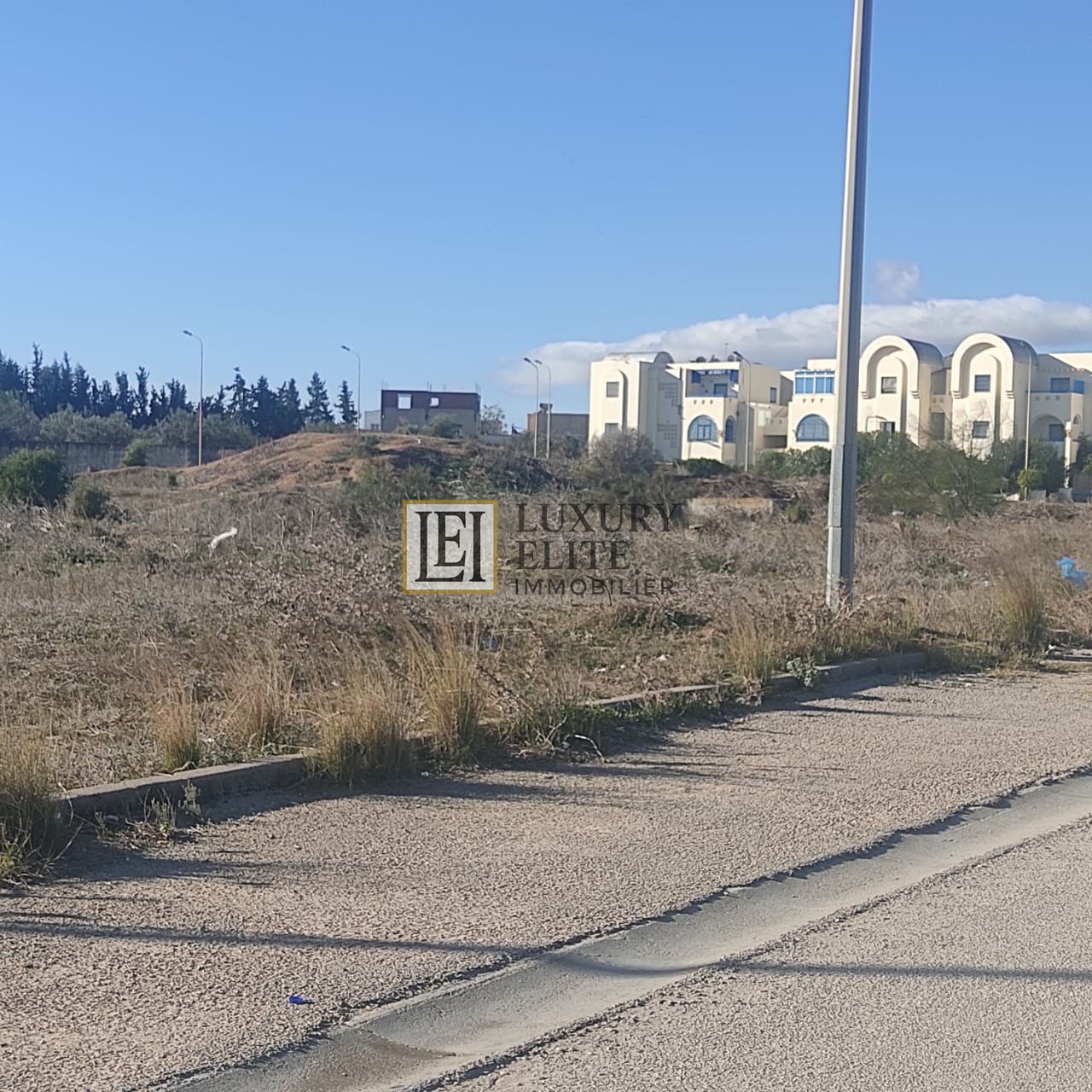 Hammamet&nbsp;Barraket Essahel&nbsp;Terrain&nbsp;Terrain nu&nbsp;Terrain pour promoteur immobilier