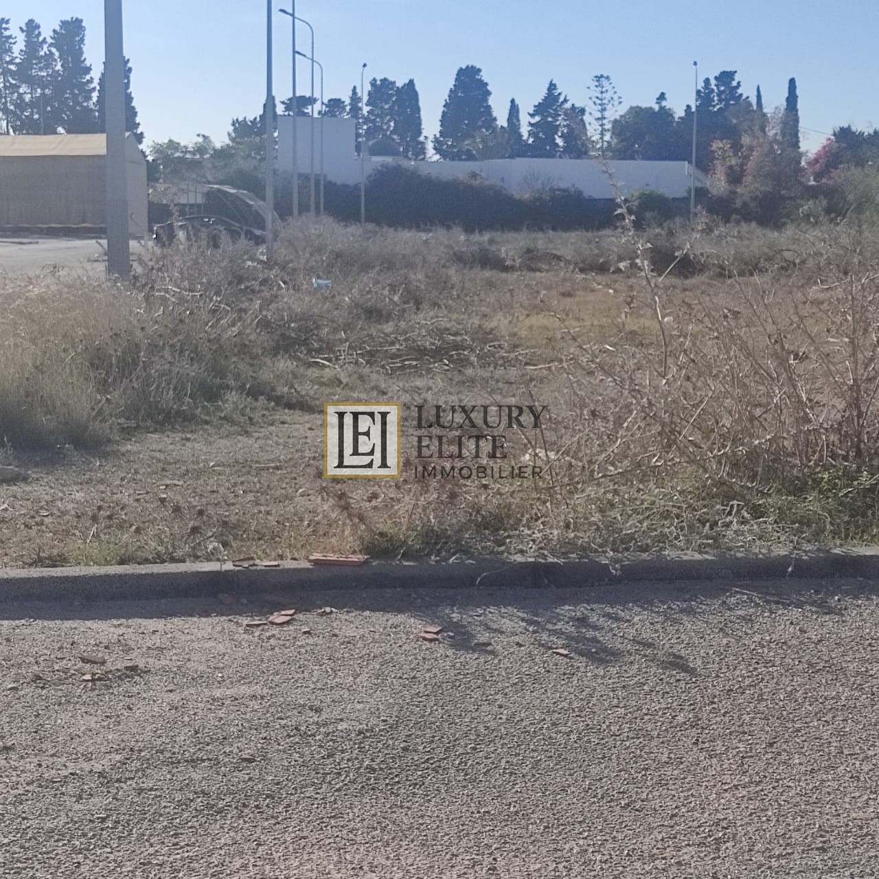 Terrain&nbsp;Terrain nu