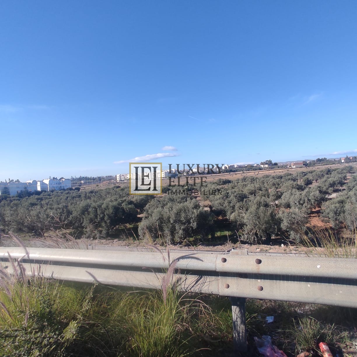 Hammamet&nbsp;Hammamet&nbsp;Terrain&nbsp;Terrain nu&nbsp;Terrain id�ale pour promoteurs immobiliers