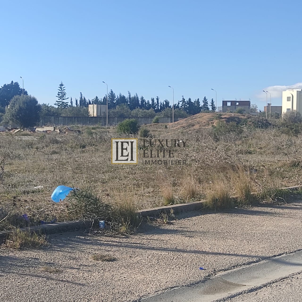 Hammamet&nbsp;Hammamet&nbsp;Terrain&nbsp;Terrain nu&nbsp;Terrain id�ale pour promoteurs immobiliers