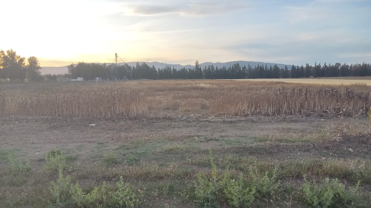 Terrain Terrain agricole