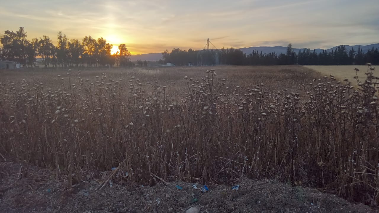 Bou Salem&nbsp;Bou Salem&nbsp;Terrain&nbsp;Terrain agricole&nbsp;Terrain agricole