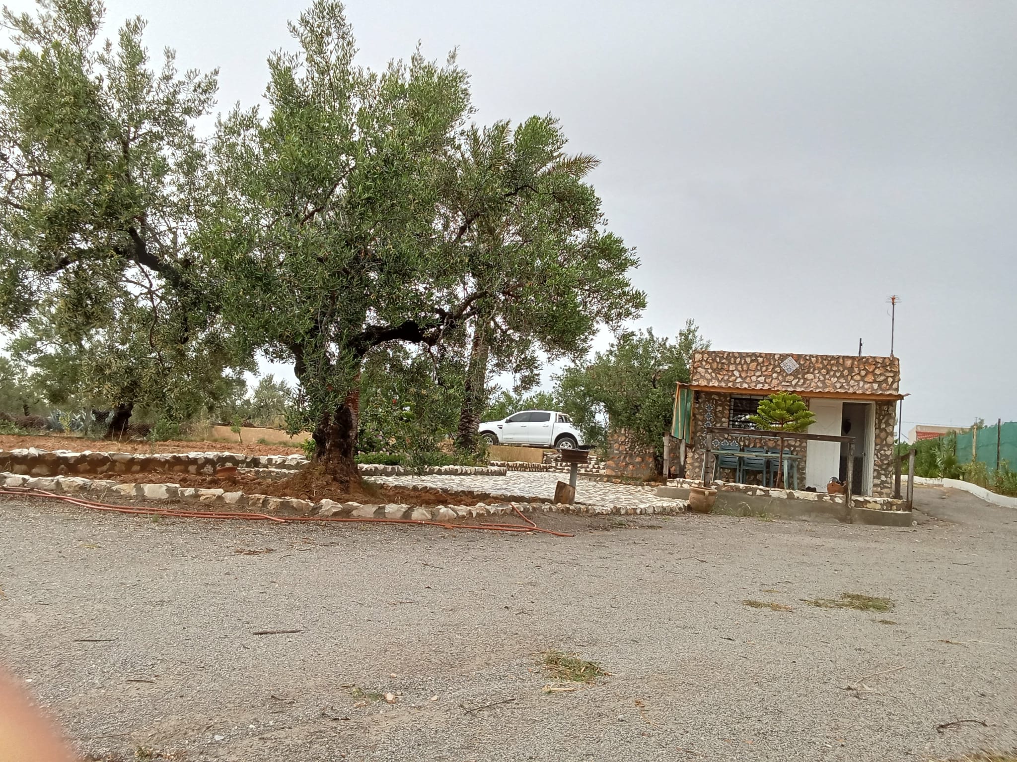 Terrain Terrain agricole