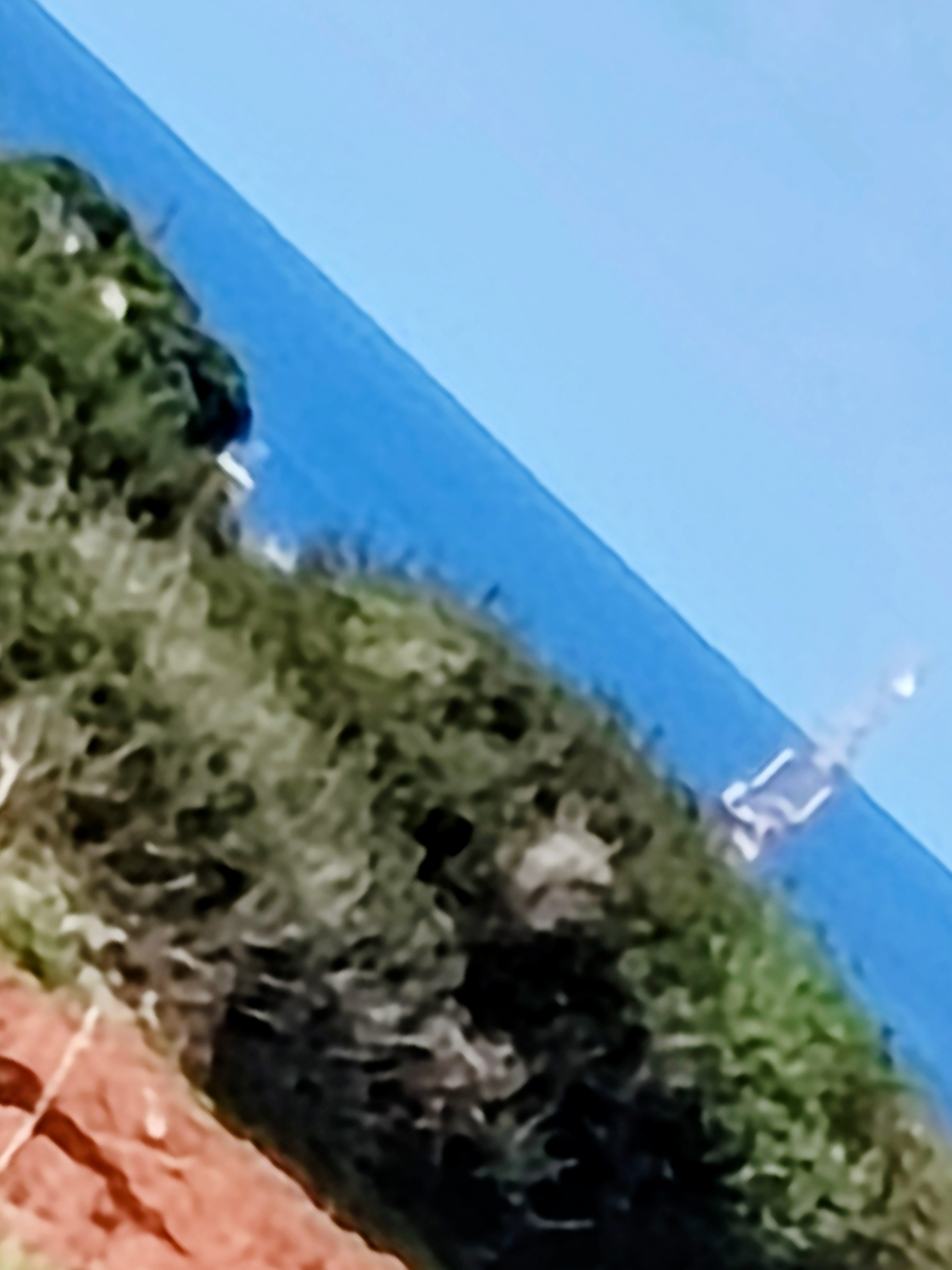 El Haouaria Cite Touristique Terrain Terrain nu Terrain  haouaria plage sud