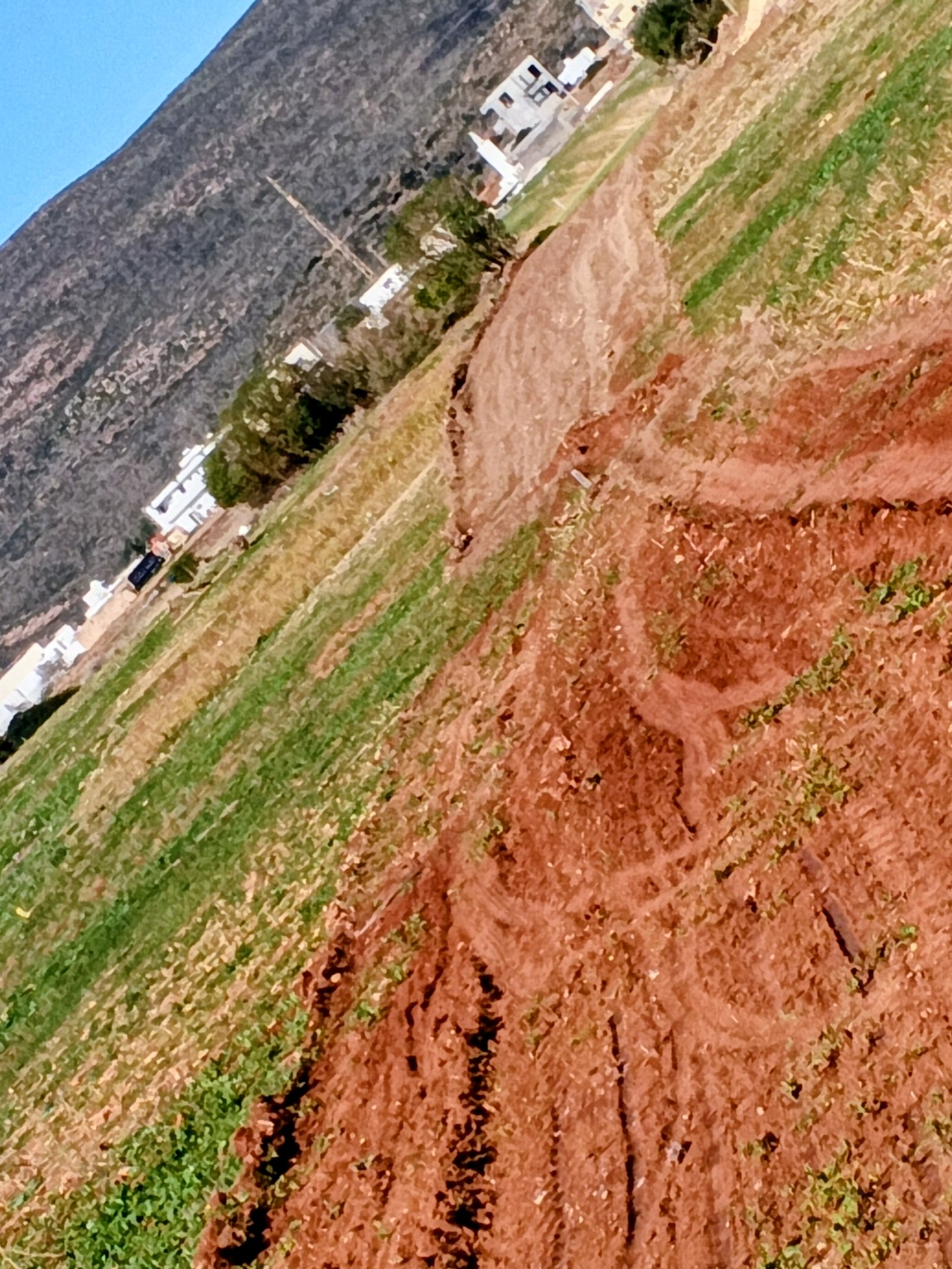 El Haouaria Cite Touristique Terrain Terrain nu Terrain  haouaria plage sud
