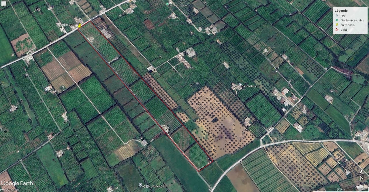 Menzel Bouzelfa Menzel Bouzelfa Vente Autre Senia agrumes de 6 hectares  menzel bouzelfa