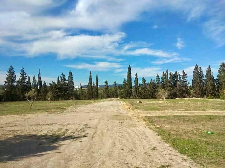 Hammamet&nbsp;Hammamet&nbsp;Terrain&nbsp;Terrain nu&nbsp;Des terrains jnane hamamet