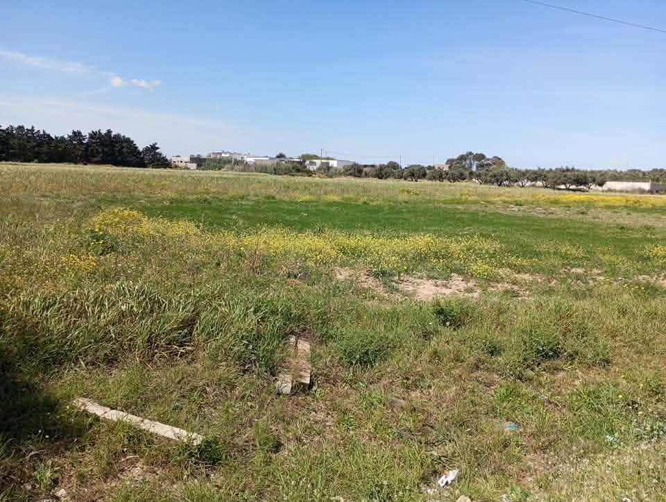 El Haouaria El Haouaria Terrain Terrain nu Des terrains a hawaria sur route principale
