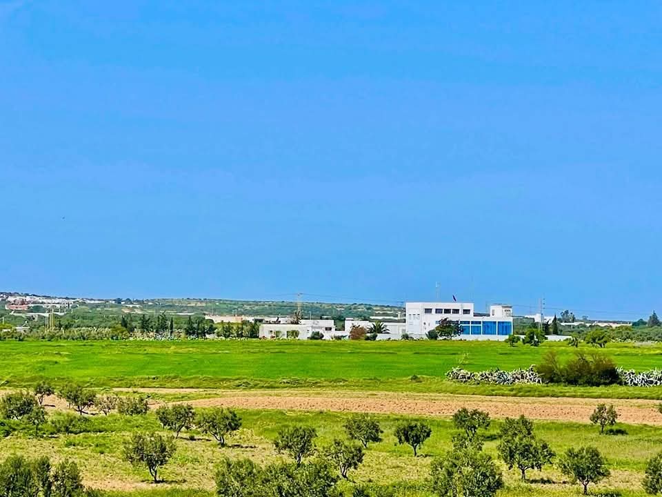 Bou Ficha Bou Ficha Terrain Terrain agricole Terrain  sousse bouficha