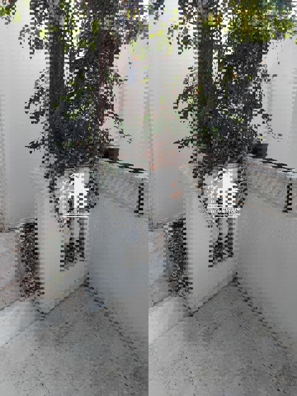 Bab Souika&nbsp;Bab El Assel&nbsp;Location&nbsp;Appart. 1 pi�ce&nbsp;Appartement s1meubl� � france ville bab laasal