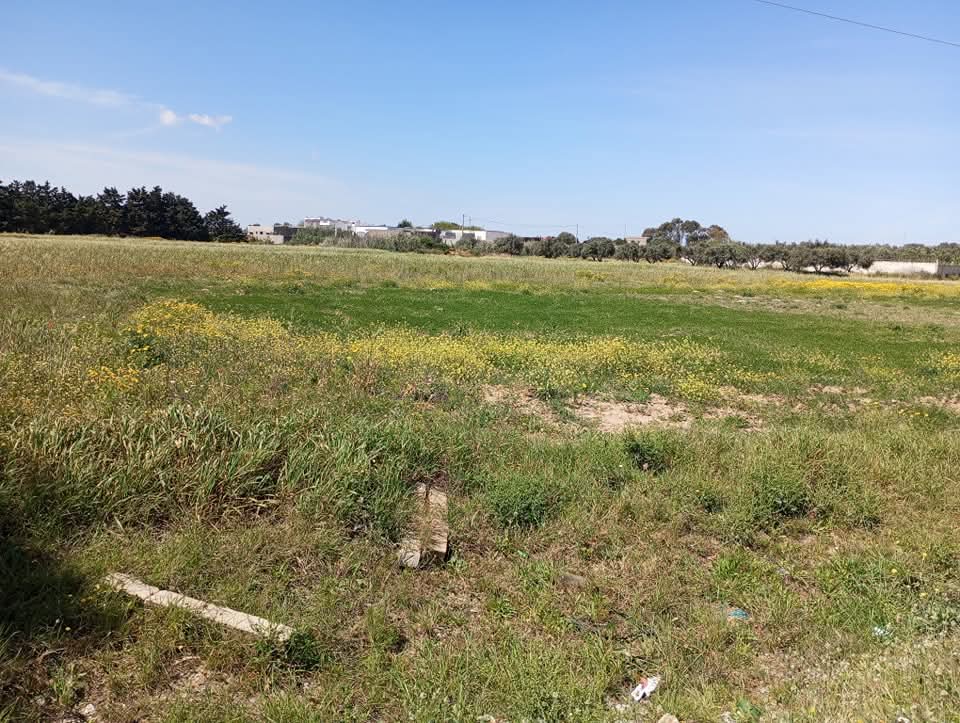 Terrain&nbsp;Terrain nu