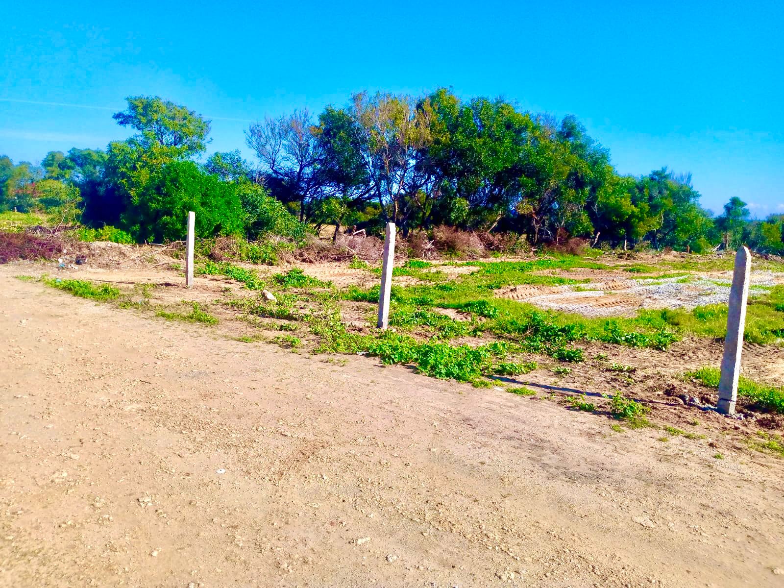 Terrain&nbsp;Terrain nu