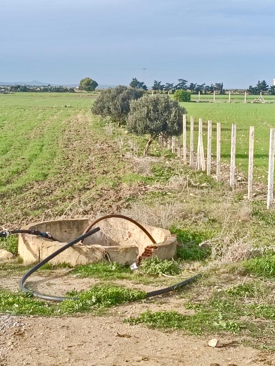 Kelibia&nbsp;Kelibia&nbsp;Terrain&nbsp;Terrain nu&nbsp;Terrain kelibia  1000m