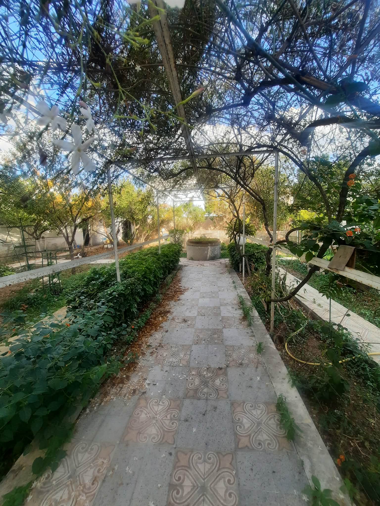 Terrain&nbsp;Terrain nu