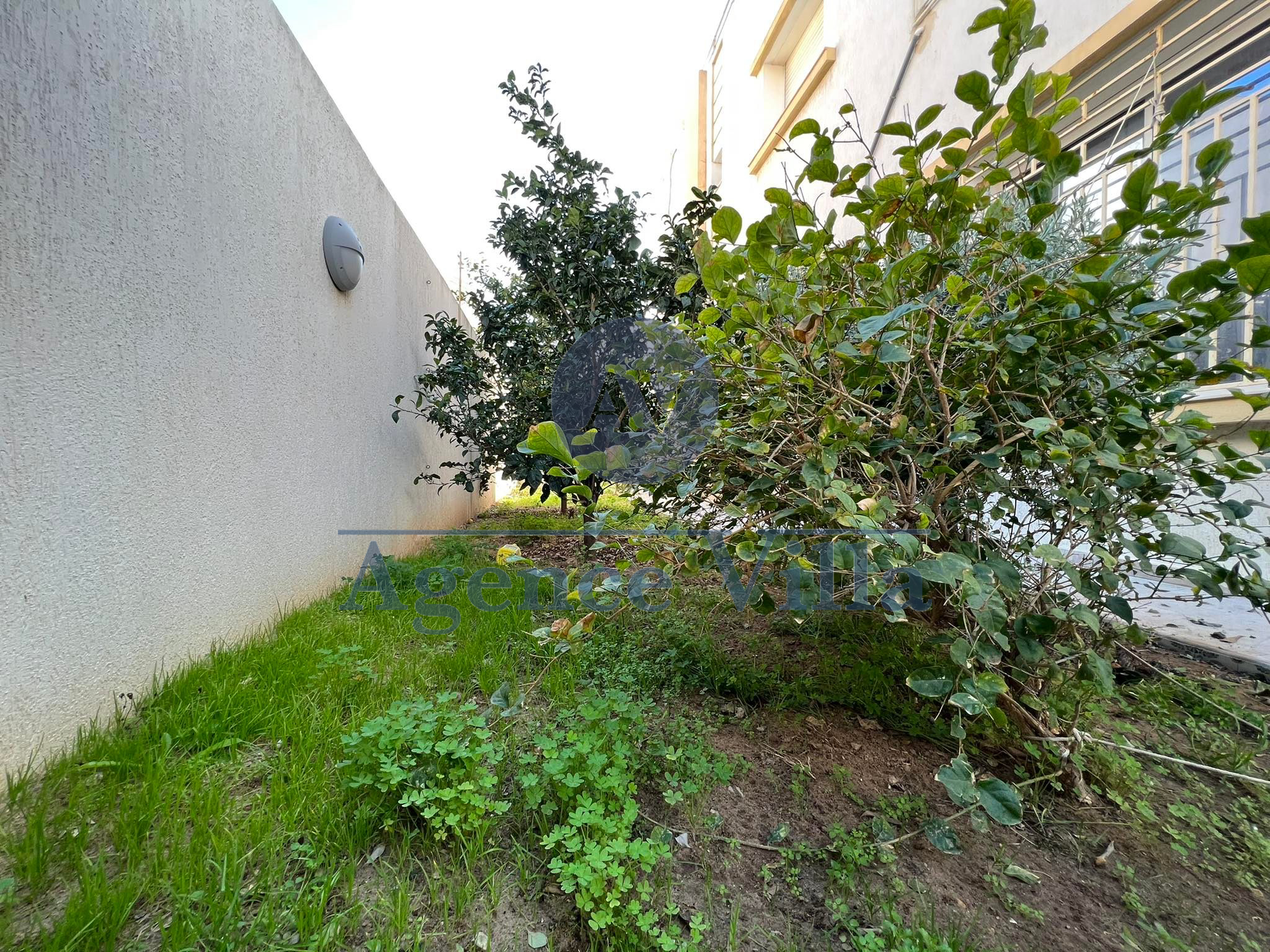 Ain Zaghouan&nbsp;Jardins de Carthage&nbsp;Location&nbsp;Maisons&nbsp;Un r�ez de chauss�e s3 au jdc