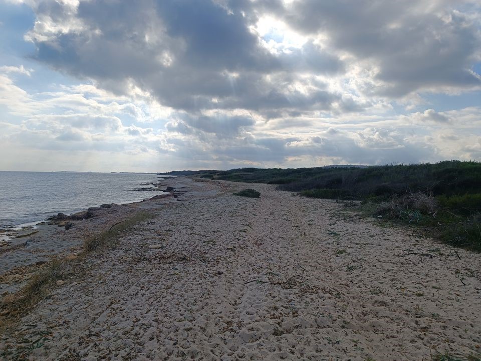 Kelibia&nbsp;Kerkouane&nbsp;Terrain&nbsp;Terrain nu&nbsp;Projet lotissement priv� pieds dans l'eau