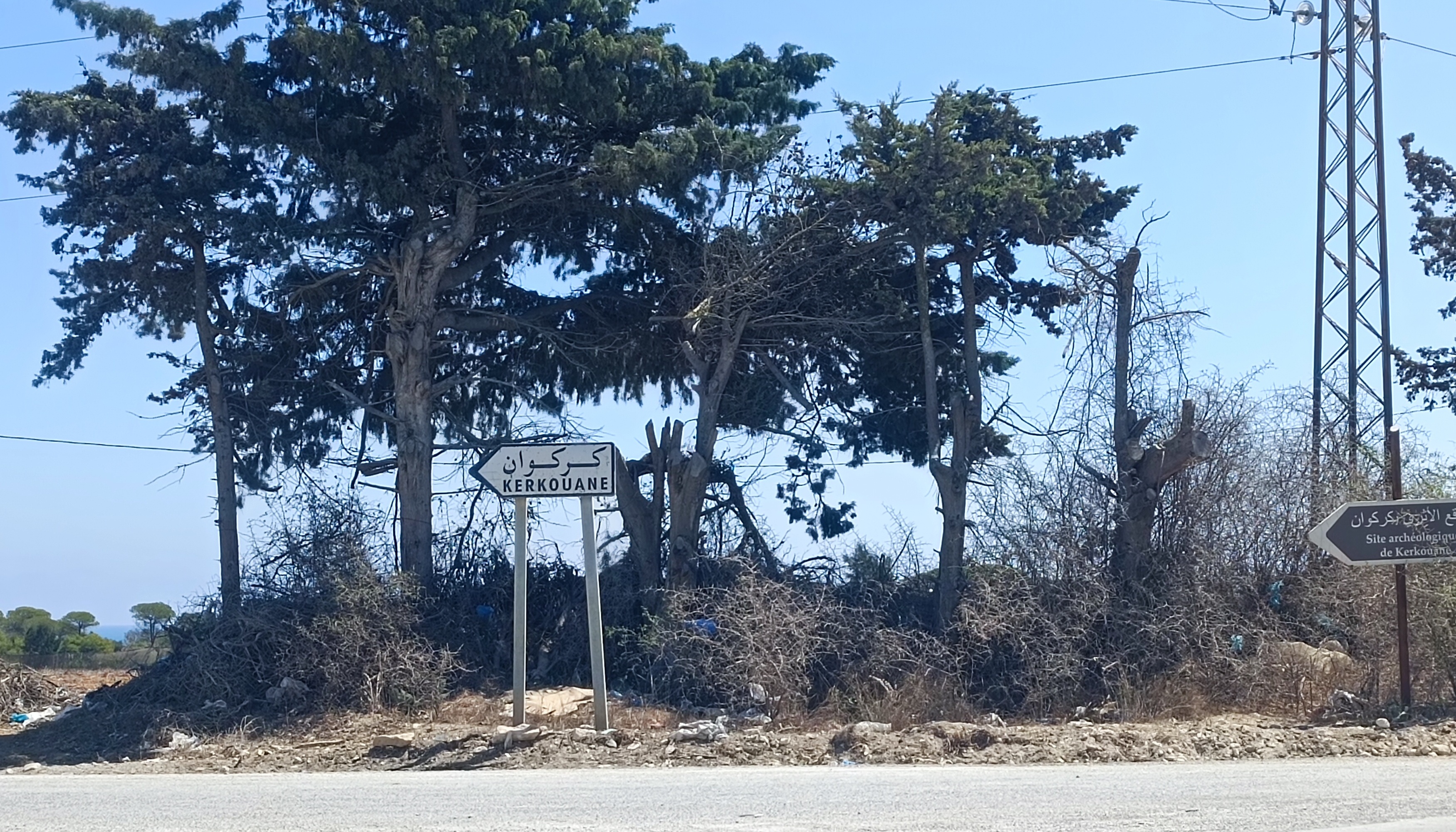 Terrain&nbsp;Terrain nu