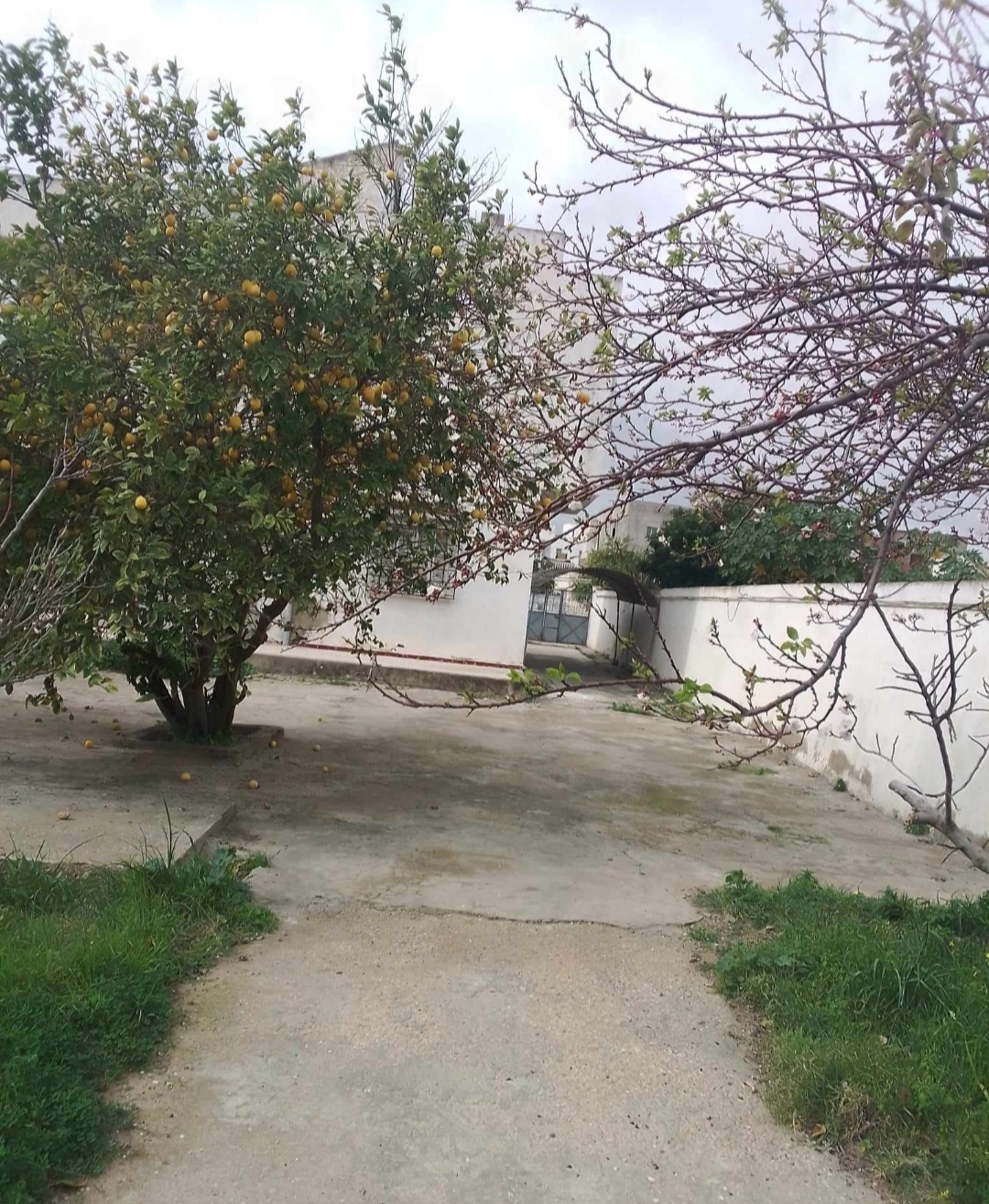 Rades&nbsp;Rades&nbsp;Vente&nbsp;Maisons&nbsp;Villa � rades sur un terrain 1200m