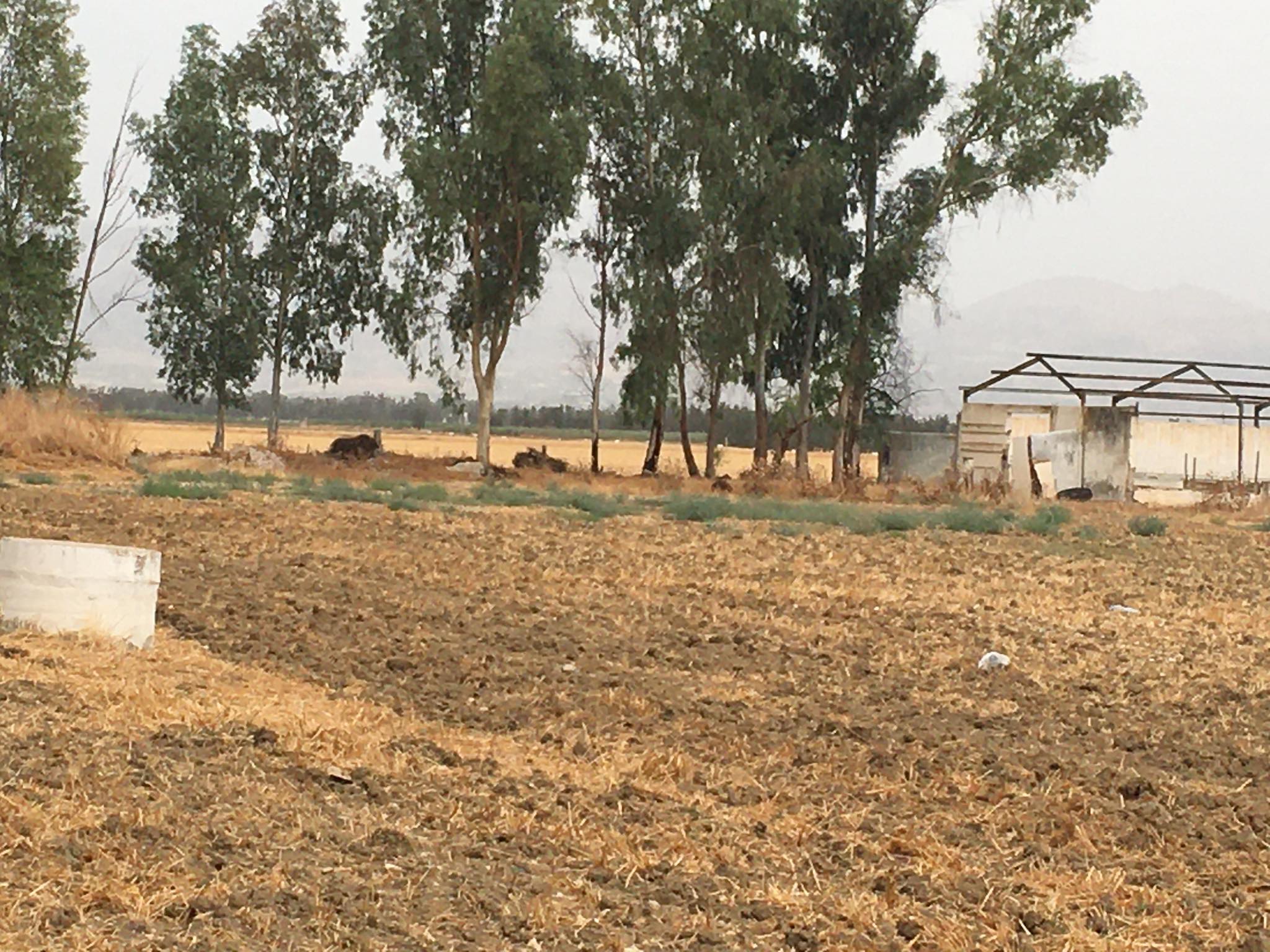 Bou Salem&nbsp;Bou Salem&nbsp;Terrain&nbsp;Terrain agricole&nbsp;Terrain et ferme � bousalem