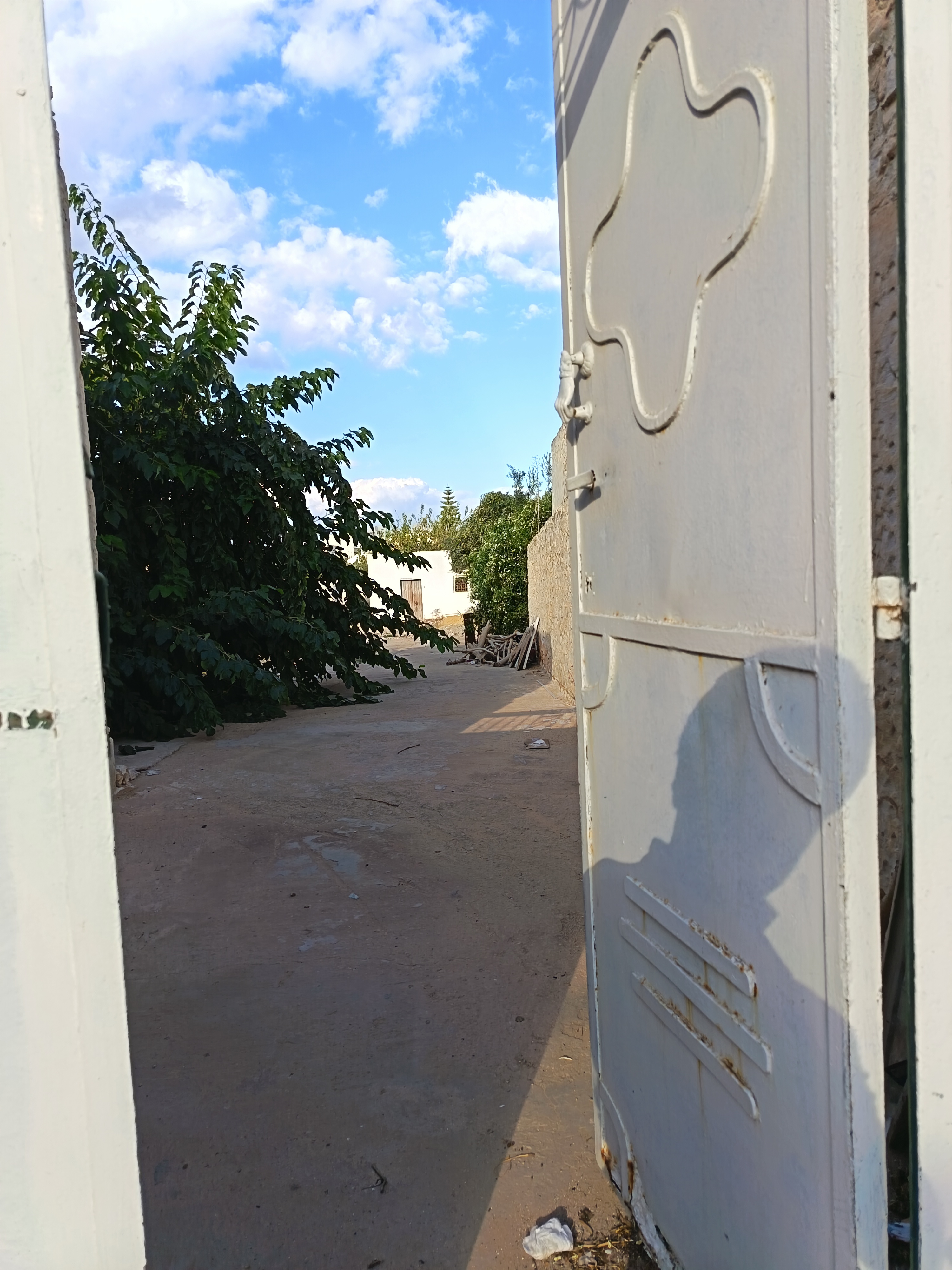 Sfax Ville&nbsp;Merkez El Alia&nbsp;Terrain&nbsp;Terrain nu&nbsp;Terrain en emplacement tr�s strat�gique