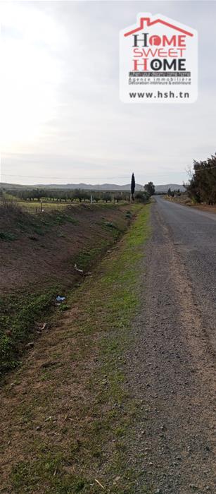 Borj El Amri&nbsp;Borj El Amri&nbsp;Terrain&nbsp;Terrain agricole&nbsp;Terrain agricole verterra � borj el amri