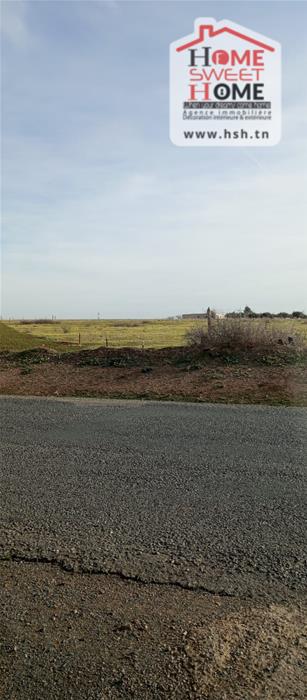 Borj El Amri&nbsp;Borj El Amri&nbsp;Terrain&nbsp;Terrain agricole&nbsp;Terrain agricole verterra � borj el amri