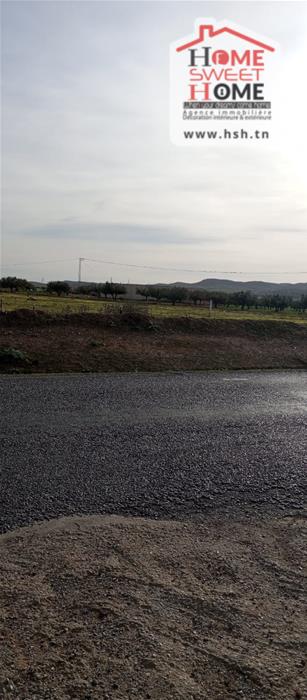 Borj El Amri&nbsp;Borj El Amri&nbsp;Terrain&nbsp;Terrain agricole&nbsp;Terrain agricole verterra � borj el amri