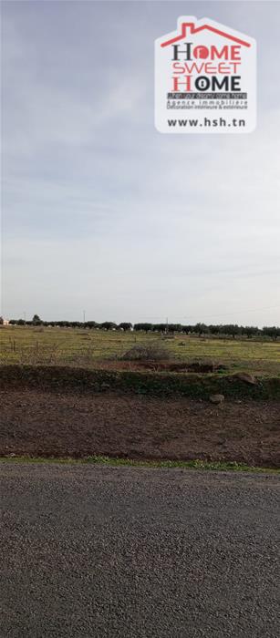 Terrain&nbsp;Terrain agricole