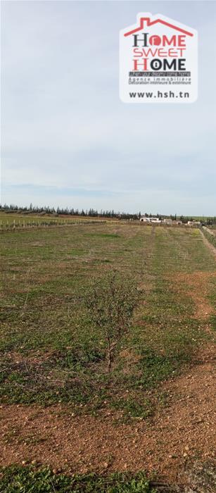 Borj El Amri&nbsp;Borj El Amri&nbsp;Terrain&nbsp;Terrain agricole&nbsp;Terrain agricole agrovia � borj el amri