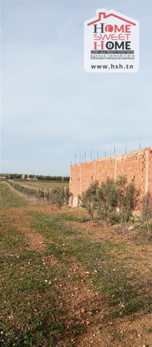 Borj El Amri&nbsp;Borj El Amri&nbsp;Terrain&nbsp;Terrain agricole&nbsp;Terrain agricole agrovia � borj el amri