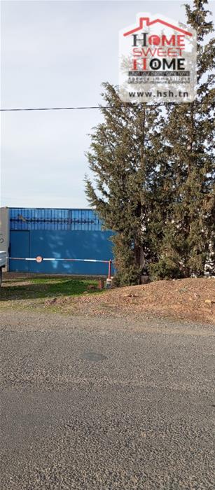 Borj El Amri&nbsp;Borj El Amri&nbsp;Terrain&nbsp;Terrain agricole&nbsp;Terrain agricole agrovia � borj el amri