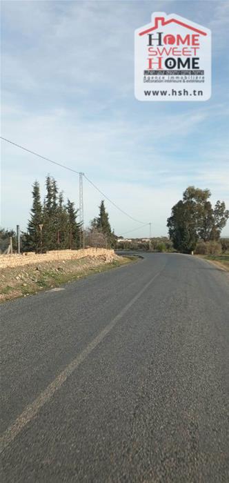 Terrain&nbsp;Terrain agricole