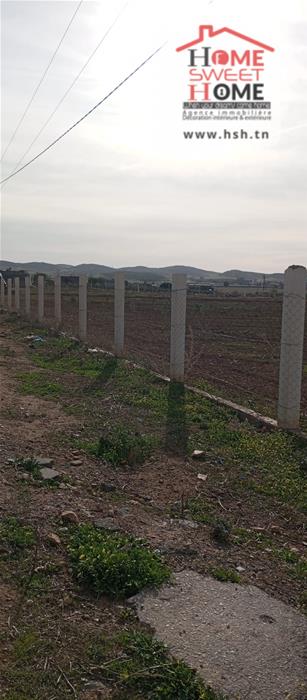 Borj El Amri&nbsp;Borj El Amri&nbsp;Terrain&nbsp;Terrain agricole&nbsp;Terrain agricole arvia � borj el amri