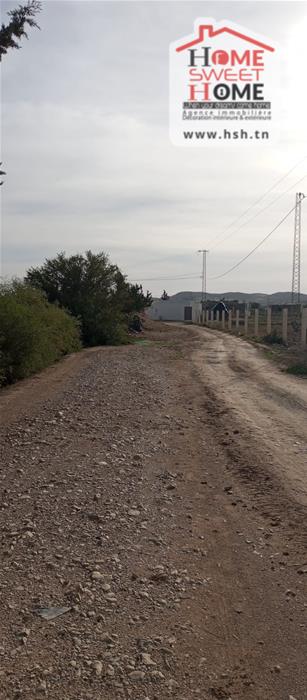 Terrain&nbsp;Terrain agricole