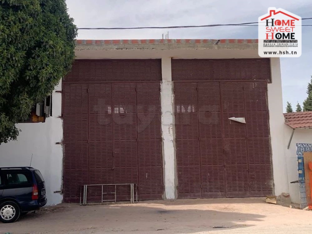 Location&nbsp;Surfaces