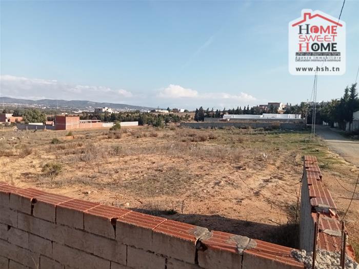 Hammamet&nbsp;Bir Bouregba&nbsp;Terrain&nbsp;Terrain agricole&nbsp;Terrain villa vilora � bir bouregba hammamet