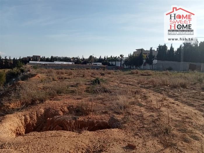 Terrain&nbsp;Terrain agricole