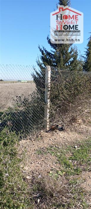 Borj El Amri&nbsp;Borj El Amri&nbsp;Terrain&nbsp;Terrain agricole&nbsp;Terrain agricole solix � borj el amri