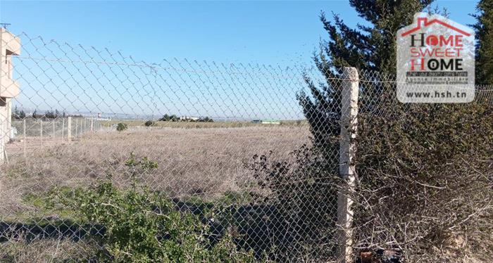 Borj El Amri&nbsp;Borj El Amri&nbsp;Terrain&nbsp;Terrain agricole&nbsp;Terrain agricole solix � borj el amri