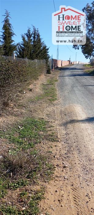 Terrain&nbsp;Terrain agricole