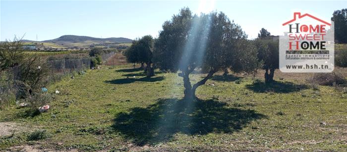 Borj El Amri&nbsp;Borj El Amri&nbsp;Terrain&nbsp;Terrain agricole&nbsp;Terrain agricole zayra � borj el amri