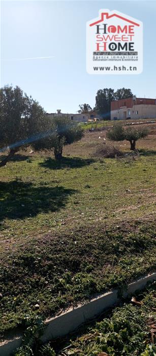 Borj El Amri&nbsp;Borj El Amri&nbsp;Terrain&nbsp;Terrain agricole&nbsp;Terrain agricole zayra � borj el amri