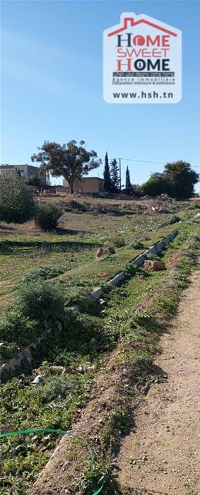 Borj El Amri&nbsp;Borj El Amri&nbsp;Terrain&nbsp;Terrain agricole&nbsp;Terrain agricole zayra � borj el amri