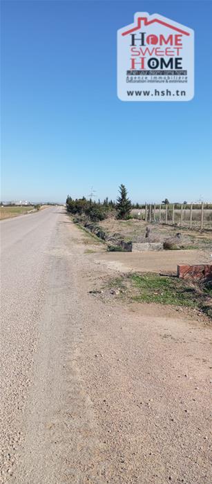 Terrain&nbsp;Terrain agricole