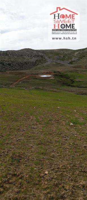 Terrain&nbsp;Terrain agricole