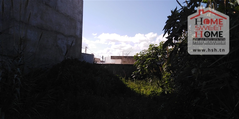 Terrain&nbsp;Terrain nu