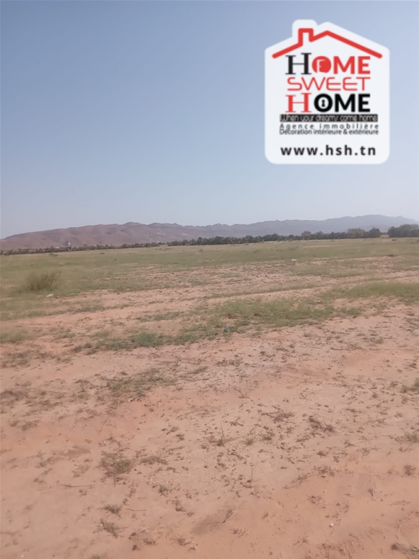 Sidi Aich&nbsp;Sidi Aich&nbsp;Terrain&nbsp;Terrain nu&nbsp;Terrain agricole tinal � sidi aich