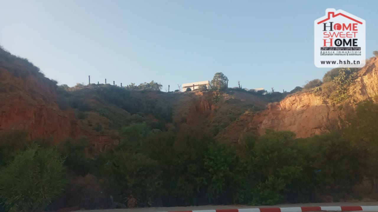 Terrain&nbsp;Terrain nu