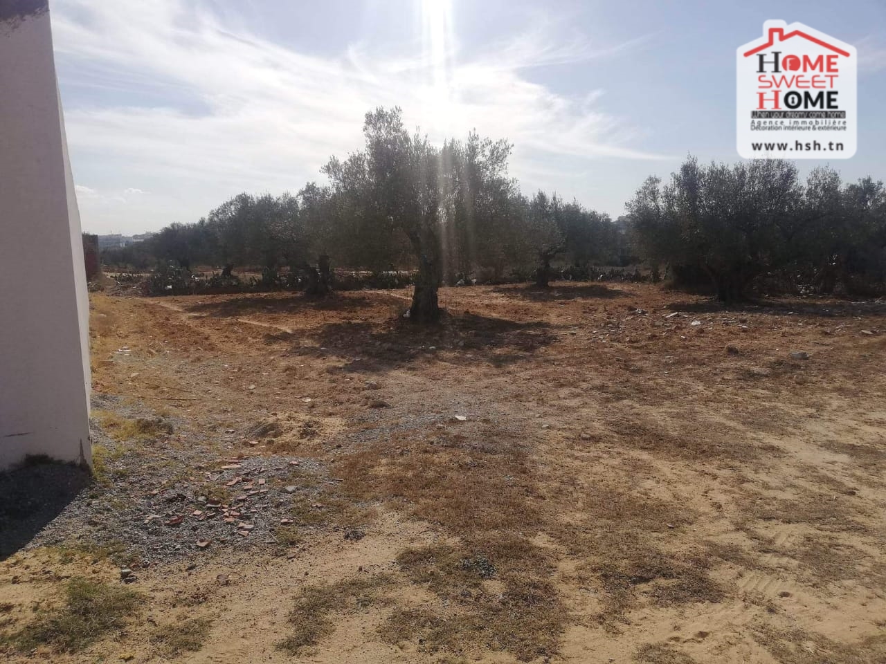 Hammam Sousse&nbsp;Hammam Sousse&nbsp;Terrain&nbsp;Terrain nu&nbsp;Terrain villa zafra � chat mariem sousse